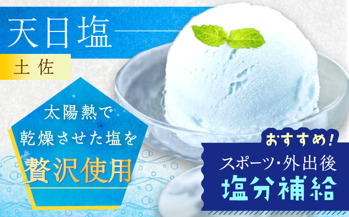 アイス アイスクリーム 塩 ジェラート 高知 あいす あいすくりーむ ギフト 贈り物 贈答