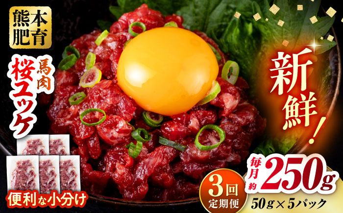 馬肉 さくらユッケ 50g×5パック 計250g