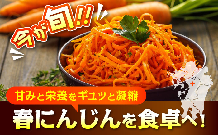 菊陽町の春にんじん 5kg 人参 ニンジン 菊陽にんじん にんじん 5キロ 熊本県産 春にんじん 