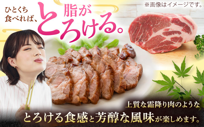 豚肉 肩ロース 豚 ブロック ブロック肉 小分け ロースポーク ロースステーキ 豚肉 小分けブランド豚 すてーき ステーキ 肉
