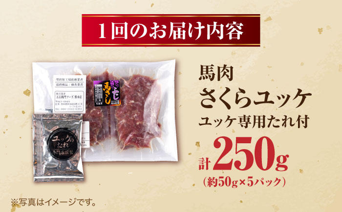 馬肉 さくらユッケ 50g×5パック 計250g馬肉 さくらユッケ 50g×5パック 計250g