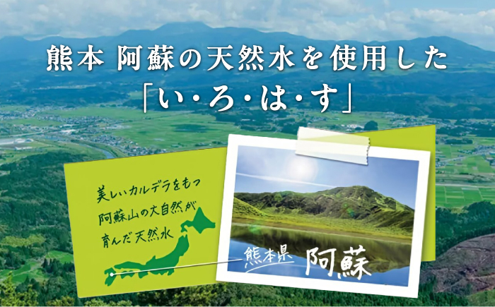 い・ろ・は・す 阿蘇の天然水 540ml 48本 計288本 540ml×24本×2ケース 天然水 いろはす 水 定期便