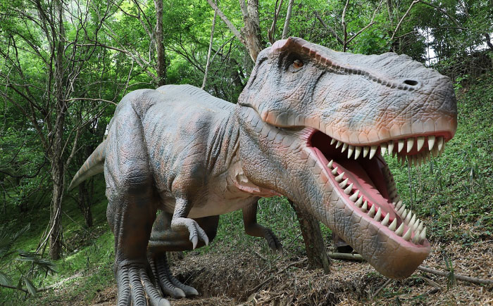 1日中お楽しみください！ チケット 体験 フリーパス 遊園地 昭和 家族 デート