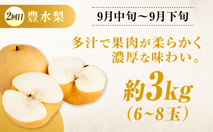 びんご地域の自慢フルーツ 果物 定期便 先行予約 葡萄 ぶどう 梨 なし