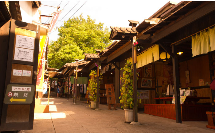 1日中お楽しみください！ チケット 体験 フリーパス 遊園地 昭和 家族 デート