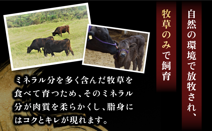 ステーキ 人気 和牛  壱岐牛 希少 柔らかい やわらかい 贈り物 ギフト  肉