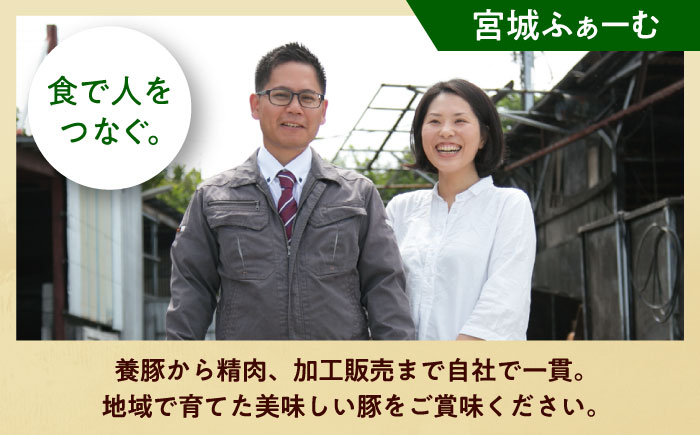 豚肉 肩ロース 豚 ブロック ブロック肉 小分け ロースポーク ロースステーキ 豚肉 小分けブランド豚 すてーき ステーキ 肉