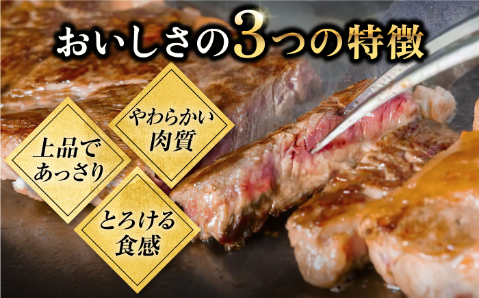 ステーキ 人気 和牛  壱岐牛 希少 柔らかい やわらかい 贈り物 ギフト  肉