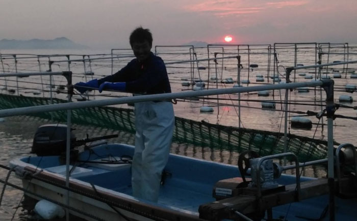 とろける贅沢初摘みのり 乾物 海苔 味付のり 焼きのり のり 詰合せ 贈答