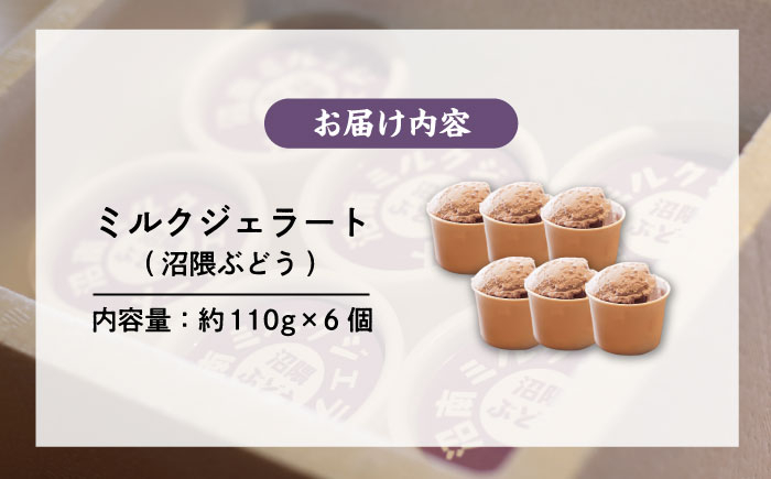 食後の贅沢アイスに♪果汁ひろがるぶどうジェラート アイス アイスクリーム