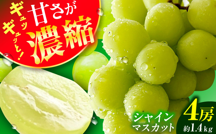 シャインマスカット 約1.4kg