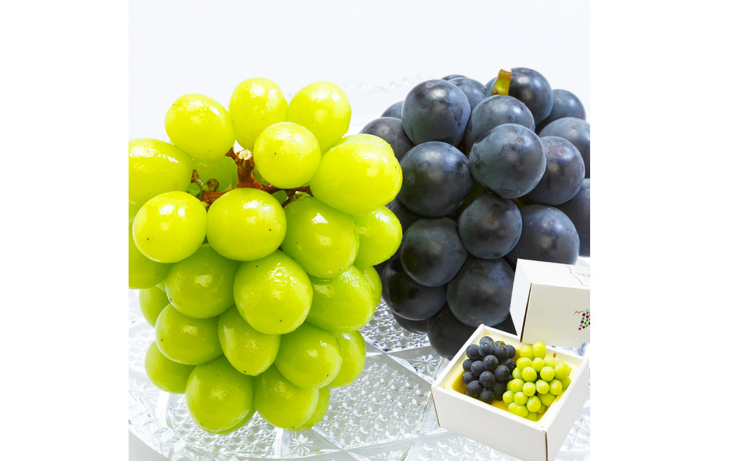 【先行予約】岡山県産 詰合せ/ニューピオーネ 1房とシャインマスカット『晴王』 1房 化粧箱入り