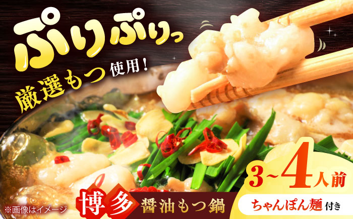 もつ鍋 もつなべ 博多 醤油