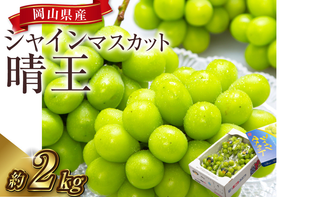 【先行予約】岡山県産 シャインマスカット 『晴王』 4房（1房480g以上）約2kg