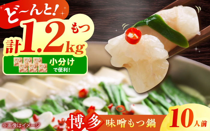 もつ鍋 もつなべ ホルモン 博多 味噌