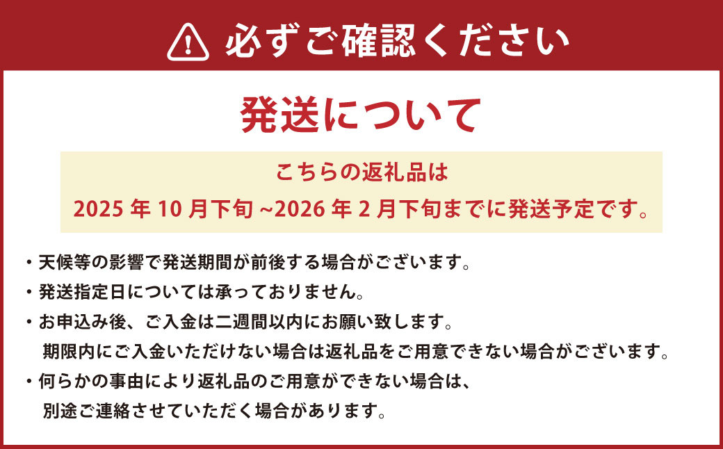 熊本市産 みかん 6kg(サイズ2L~S)【手選別まごころ選果】