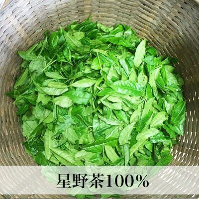 緑茶 茶葉 人気 八女茶 福岡