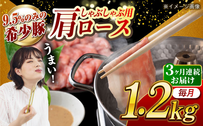 肉 豚 ぶた ブタ ロース 焼肉 焼き肉 しゃぶしゃぶ 小分け 西海市 長崎 九州 定期便