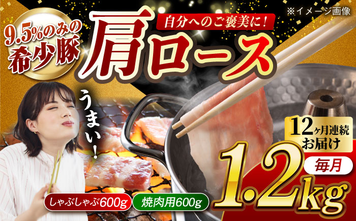 肉 豚 ぶた ブタ ロース 焼肉 焼き肉 しゃぶしゃぶ 小分け 西海市 長崎 九州 定期便