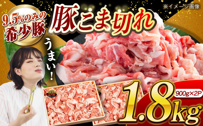 肉 豚 ぶた ブタ 豚肉 小分け 西海市 長崎 九州