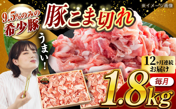 肉 豚 ぶた ブタ 豚肉 小分け 西海市 長崎 九州