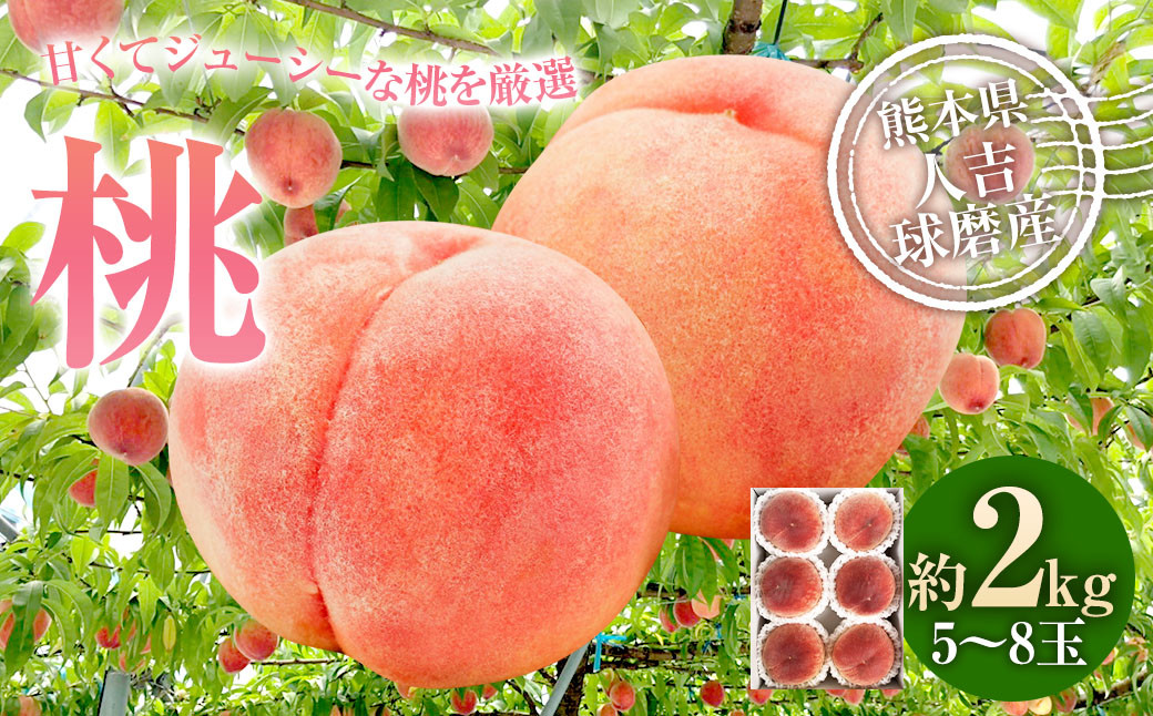 桃 約2kg（5～8玉）【2025年6月下旬～8月上旬発送予定】