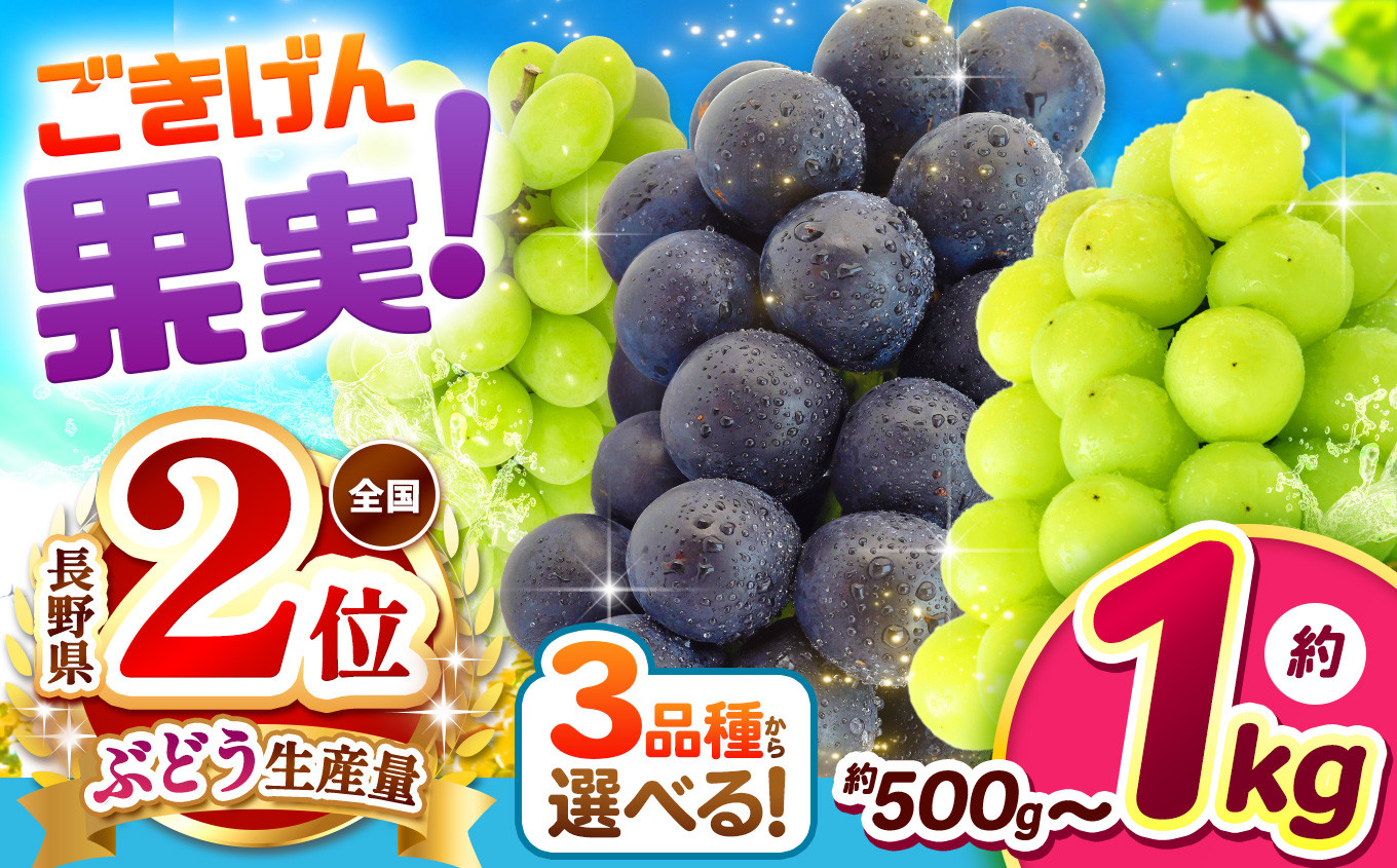 ブドウ王国 長野県から ごきげん果実♪ をお届けします