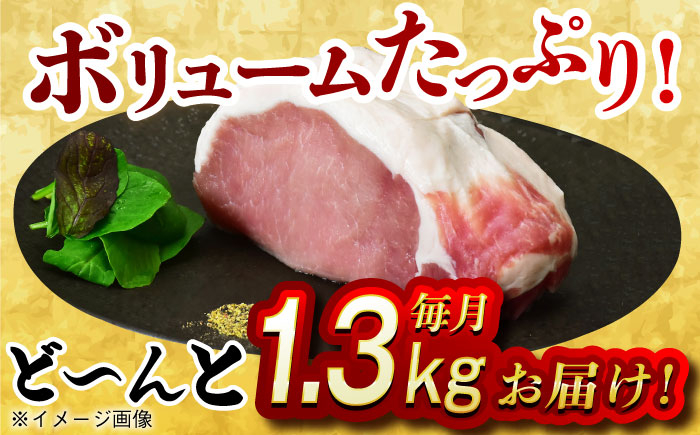 肉 豚 ぶた ブタ ロース 塊 ブロック 西海市 長崎 九州 定期便