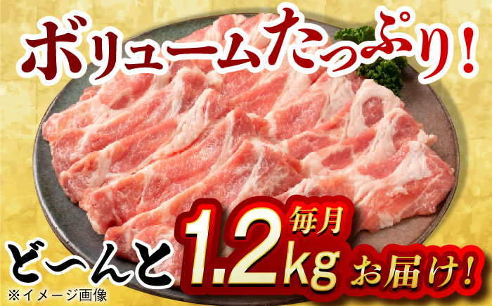 肉 豚 ぶた ブタ ロース 焼肉 焼き肉 しゃぶしゃぶ 小分け 西海市 長崎 九州 定期便