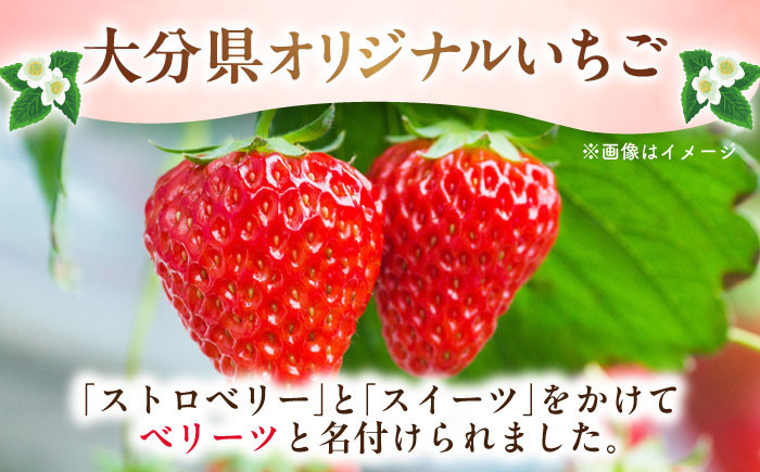 ベリーツ いちご イチゴ 苺 フルーツ 果物