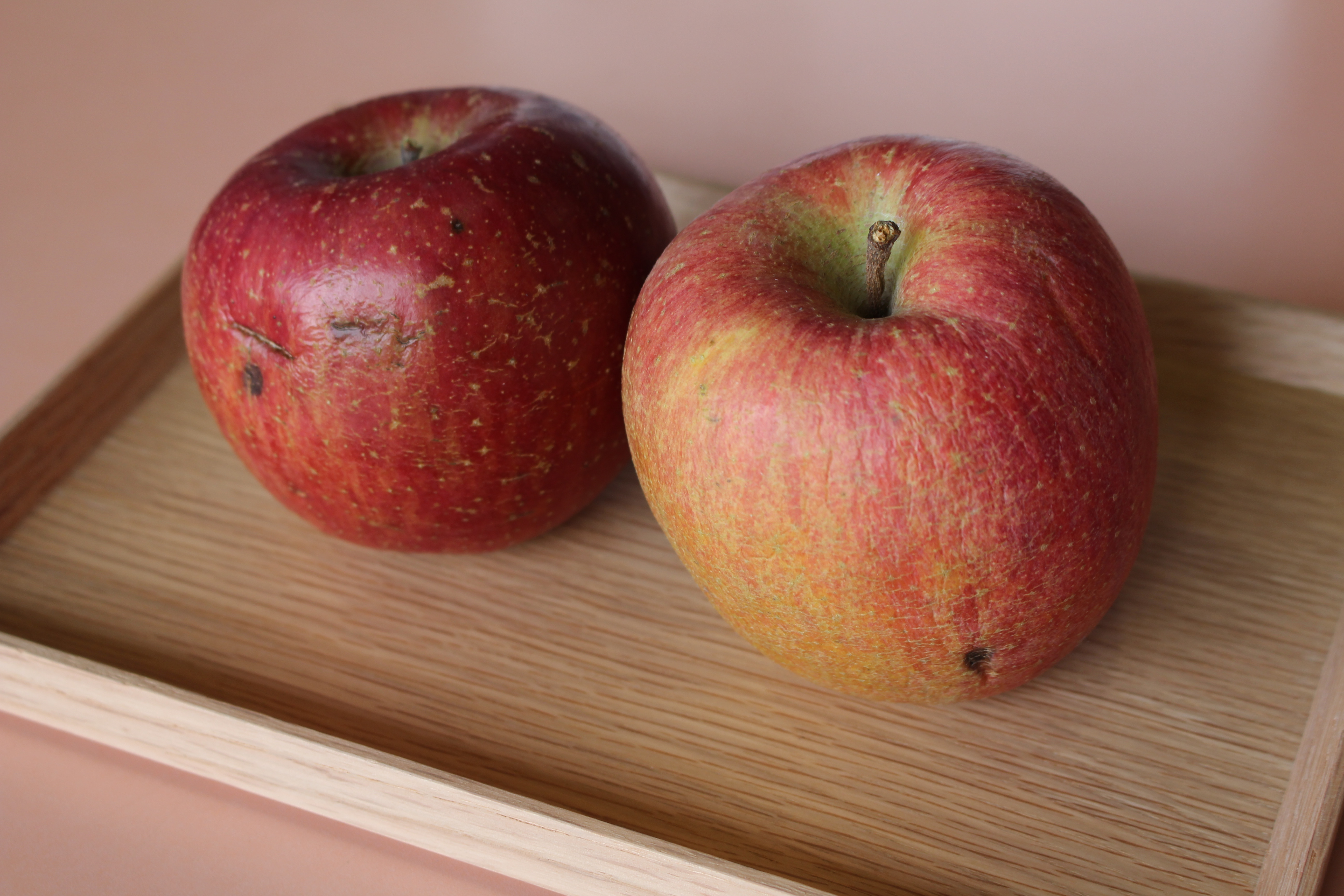 【訳あり品】軟化、しわ、押しキズ