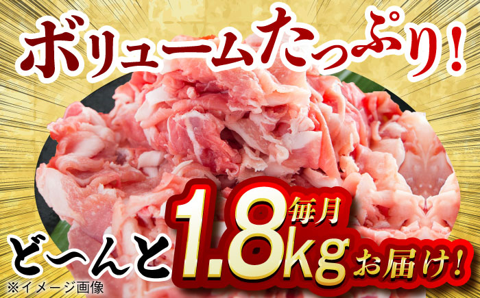 肉 豚 ぶた ブタ 豚肉 小分け 西海市 長崎 九州