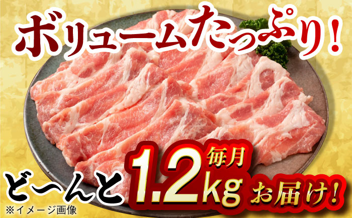 肉 豚 ぶた ブタ ロース 焼肉 焼き肉 しゃぶしゃぶ 小分け 西海市 長崎 九州 定期便