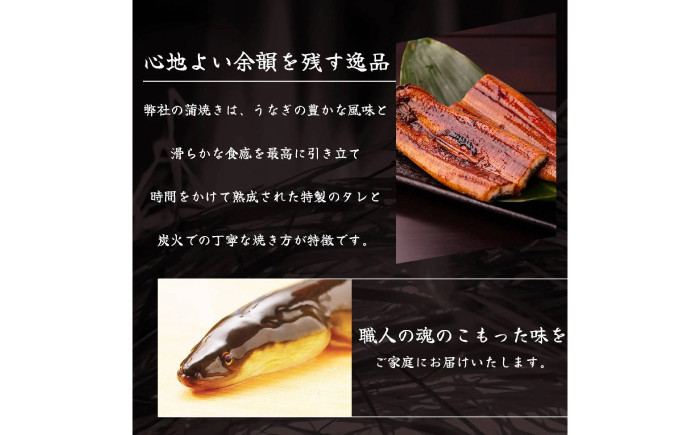 高知県産 うなぎ 長蒲焼3尾 約160g×3 3〜6人前/ 鰻 ウナギ 土用丑の日 高知産 うなぎ 【土佐黒潮水産】 [ATCQ