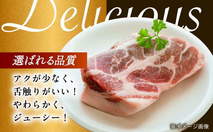 肉 豚 ぶた ブタ ロース 塊 ブロック 西海市 長崎 九州 定期便