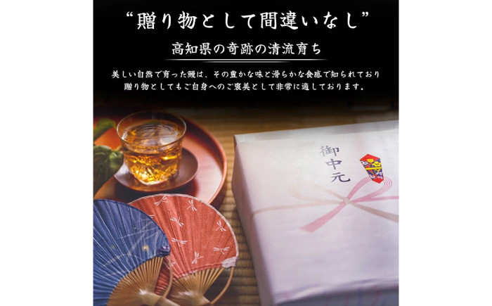 高知県産 うなぎ 長蒲焼3尾 約160g×3 3〜6人前/ 鰻 ウナギ 土用丑の日 高知産 うなぎ 【土佐黒潮水産】 [ATCQ