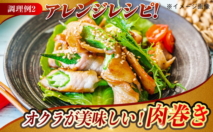 肉 豚 ぶた ブタ 豚肉 小分け 西海市 長崎 九州