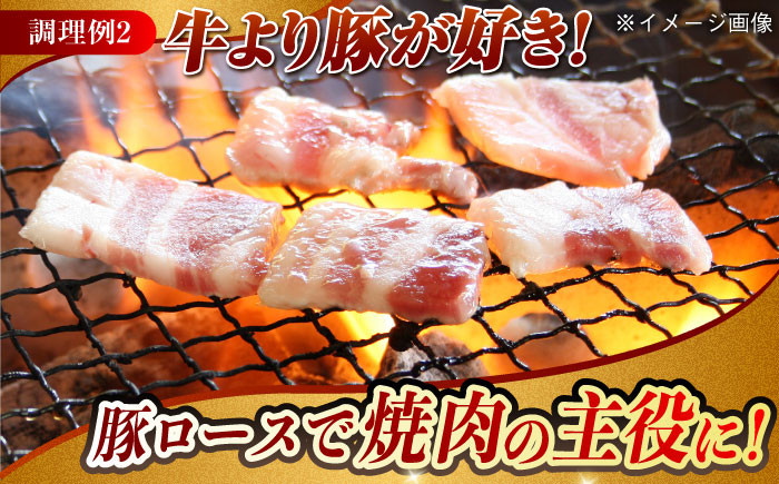 肉 豚 ぶた ブタ ロース 焼肉 焼き肉 しゃぶしゃぶ 小分け 西海市 長崎 九州 定期便