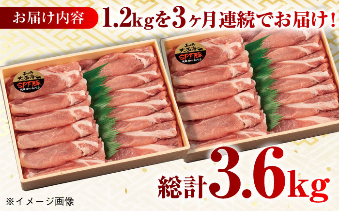 肉 豚 ぶた ブタ ロース しゃぶしゃぶ 小分け 西海市 長崎 九州 定期便