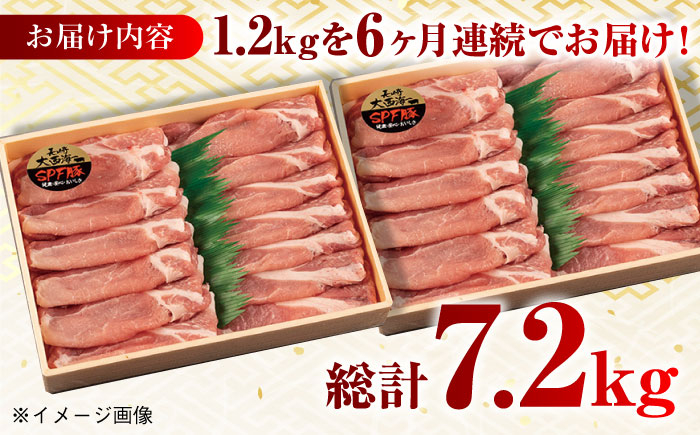 肉 豚 ぶた ブタ ロース しゃぶしゃぶ 小分け 西海市 長崎 九州 定期便