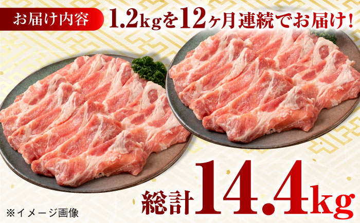肉 豚 ぶた ブタ ロース 焼肉 焼き肉 しゃぶしゃぶ 小分け 西海市 長崎 九州 定期便