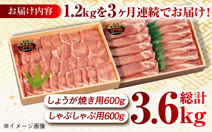 肉 豚 ぶた ブタ ロース しょうが焼き 生姜焼き しゃぶしゃぶ 小分け 長崎 九州 定期便