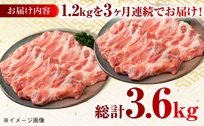 肉 豚 ぶた ブタ ロース 焼肉 焼き肉 しゃぶしゃぶ 小分け 西海市 長崎 九州 定期便
