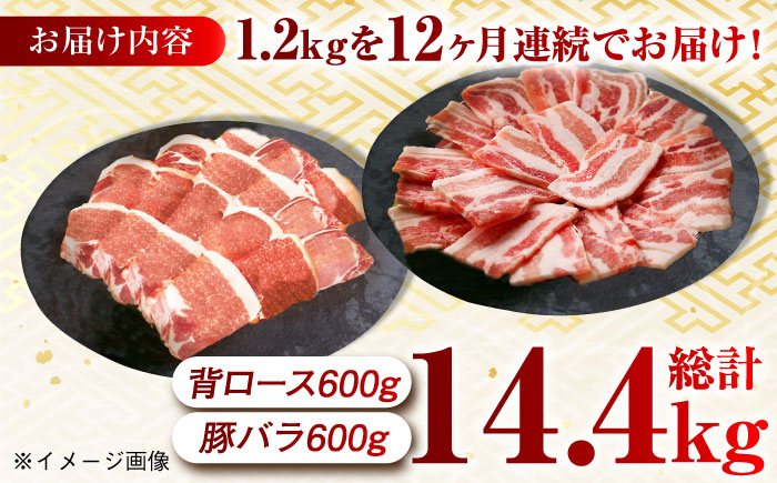 肉 豚 ぶた ブタ ロース バラ 豚バラ 焼肉 焼き肉 食べ比べ 西海市 長崎 九州 定期便