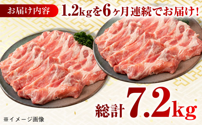 肉 豚 ぶた ブタ ロース 焼肉 焼き肉 しゃぶしゃぶ 小分け 西海市 長崎 九州 定期便