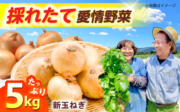 新鮮！しゃきしゃき！ 新玉ねぎ 5kg 七宝早生
