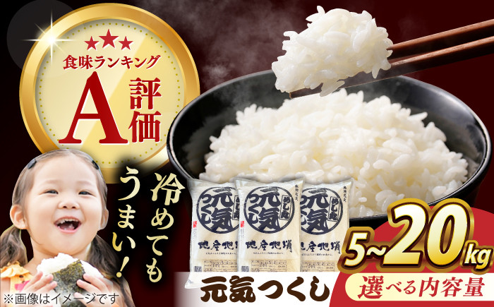 米 こめ コメ お米 白米 精米