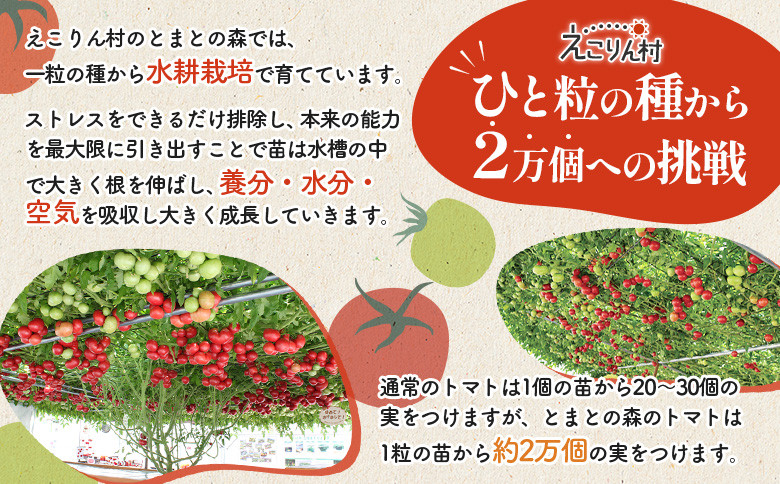 えこりん村トマト使用のポテトチップス60g×5袋