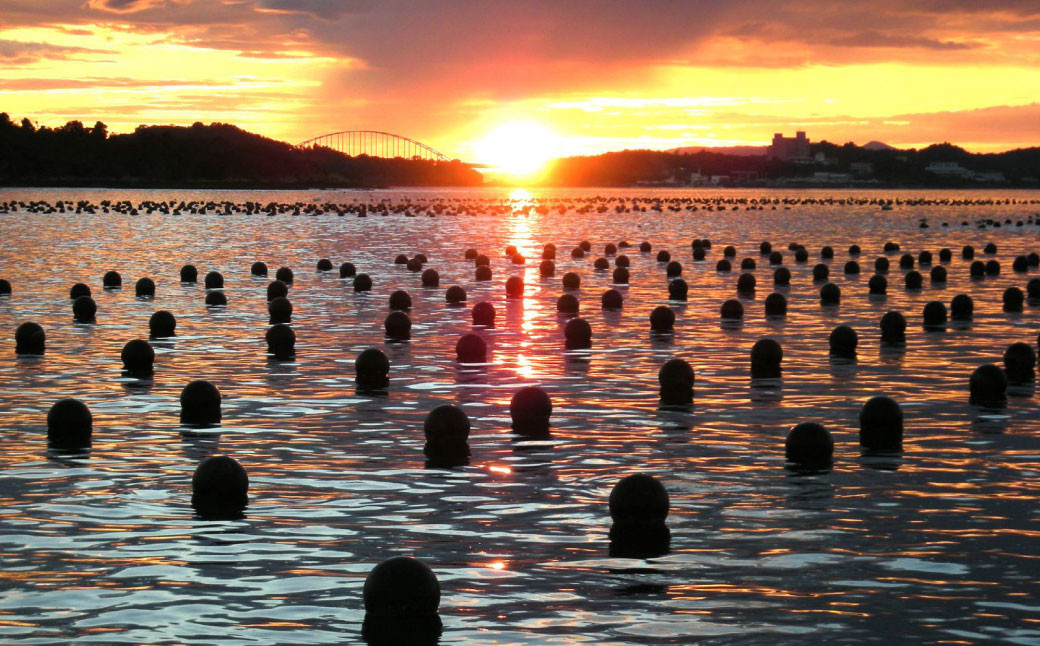 上天草産 あこや 真珠 ピアス K18（6.0ｍｍ珠）