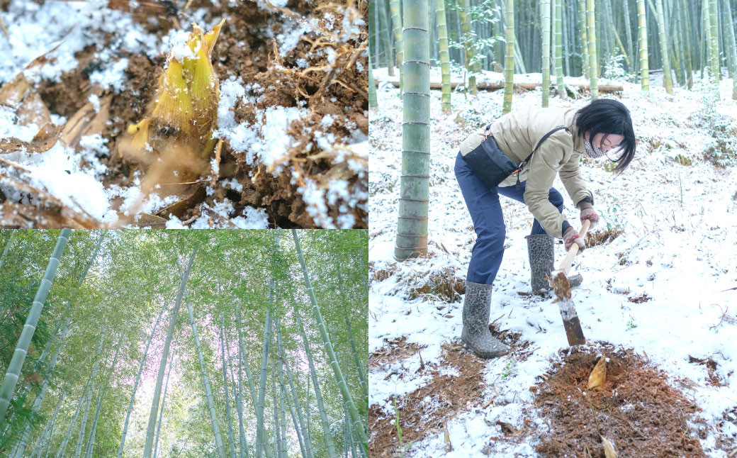 合馬たけのこご飯セット